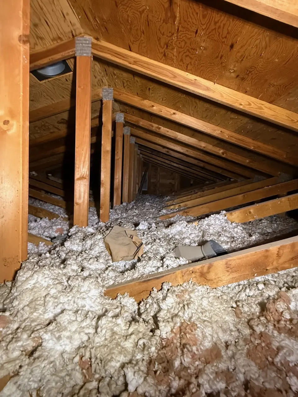 Attic with thin, uneven insulation and loose debris lying between the wood trusses