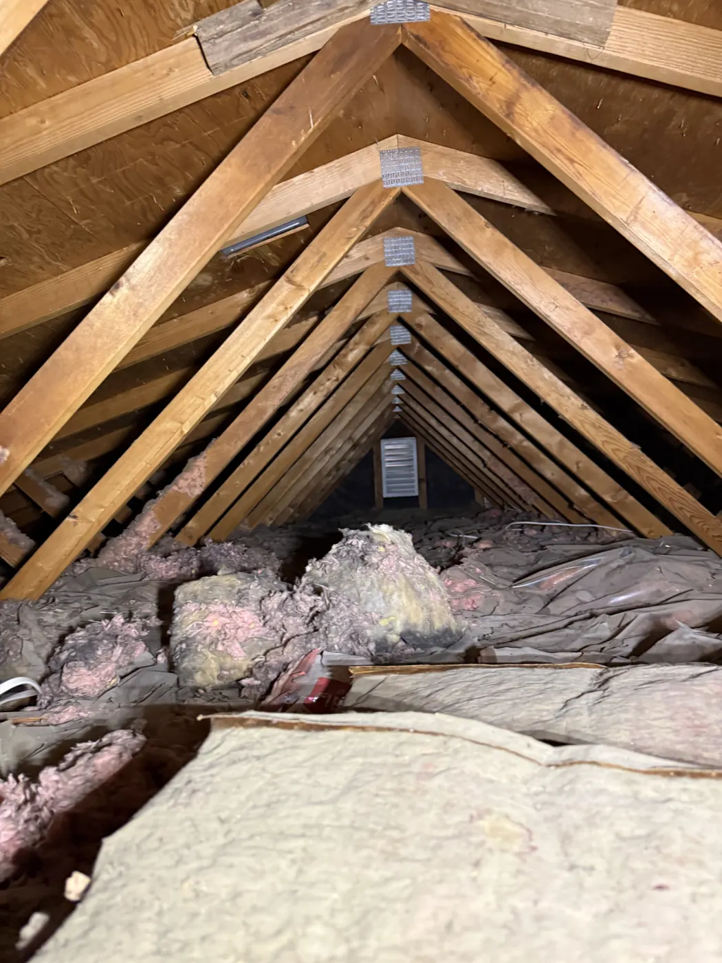 Attic Inspections, job photo 11 of 19