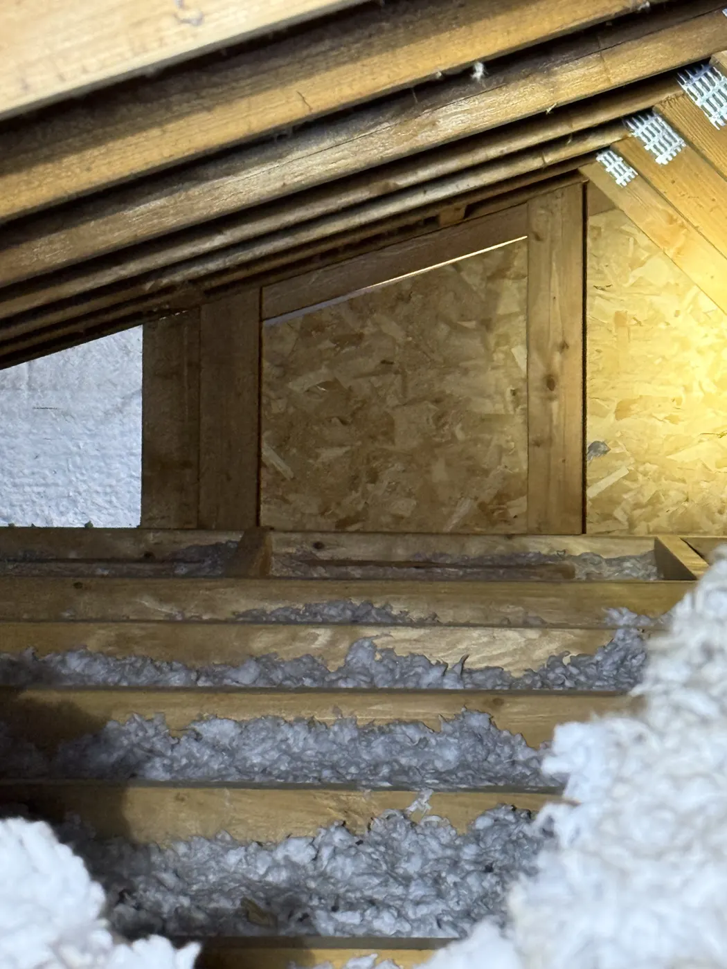 Attic Inspections, job photo 14 of 19