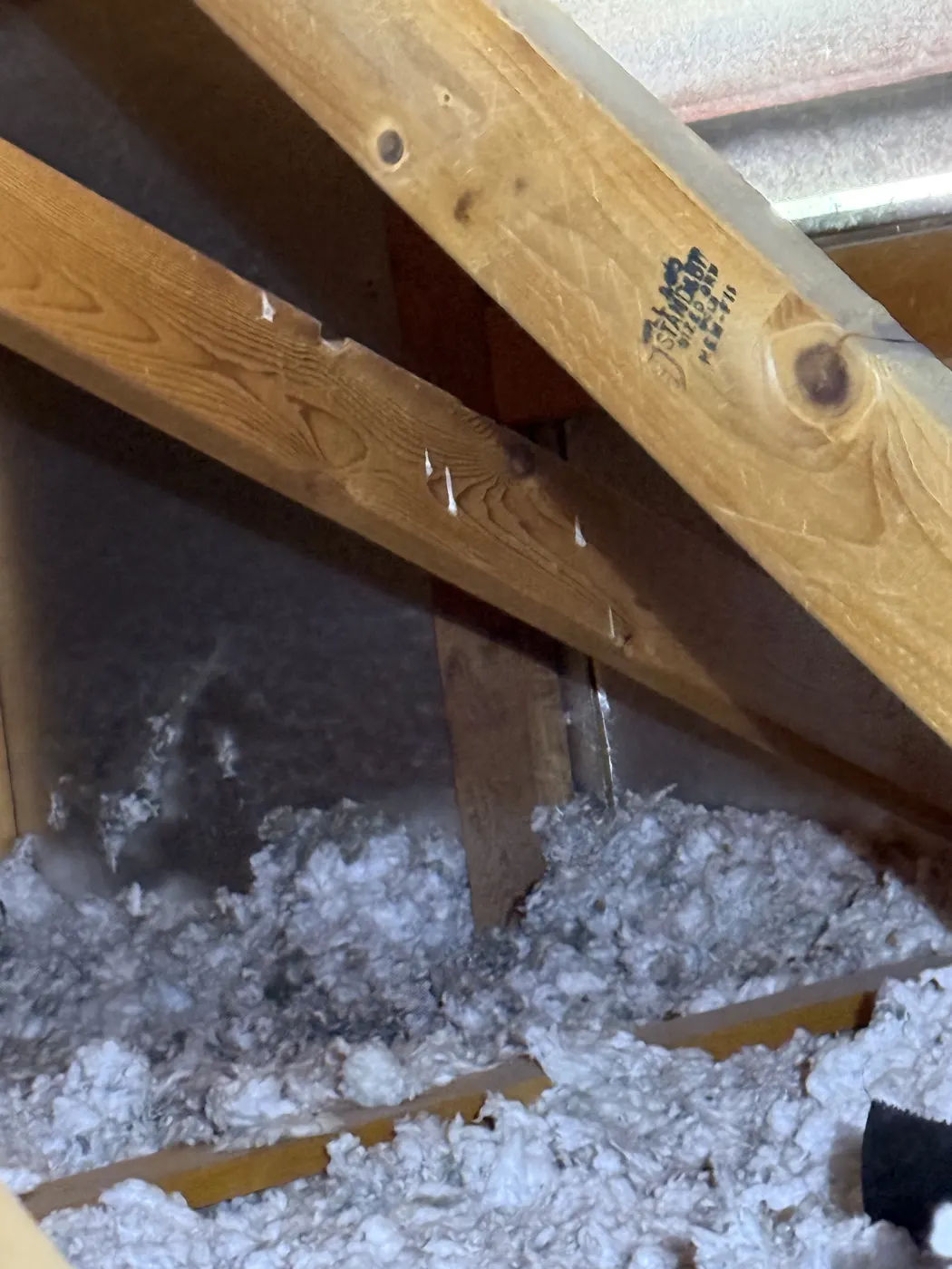 Attic Inspections, job photo 15 of 19