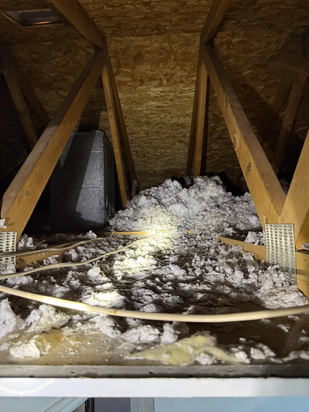 Attic Inspections, job photo 9 of 19