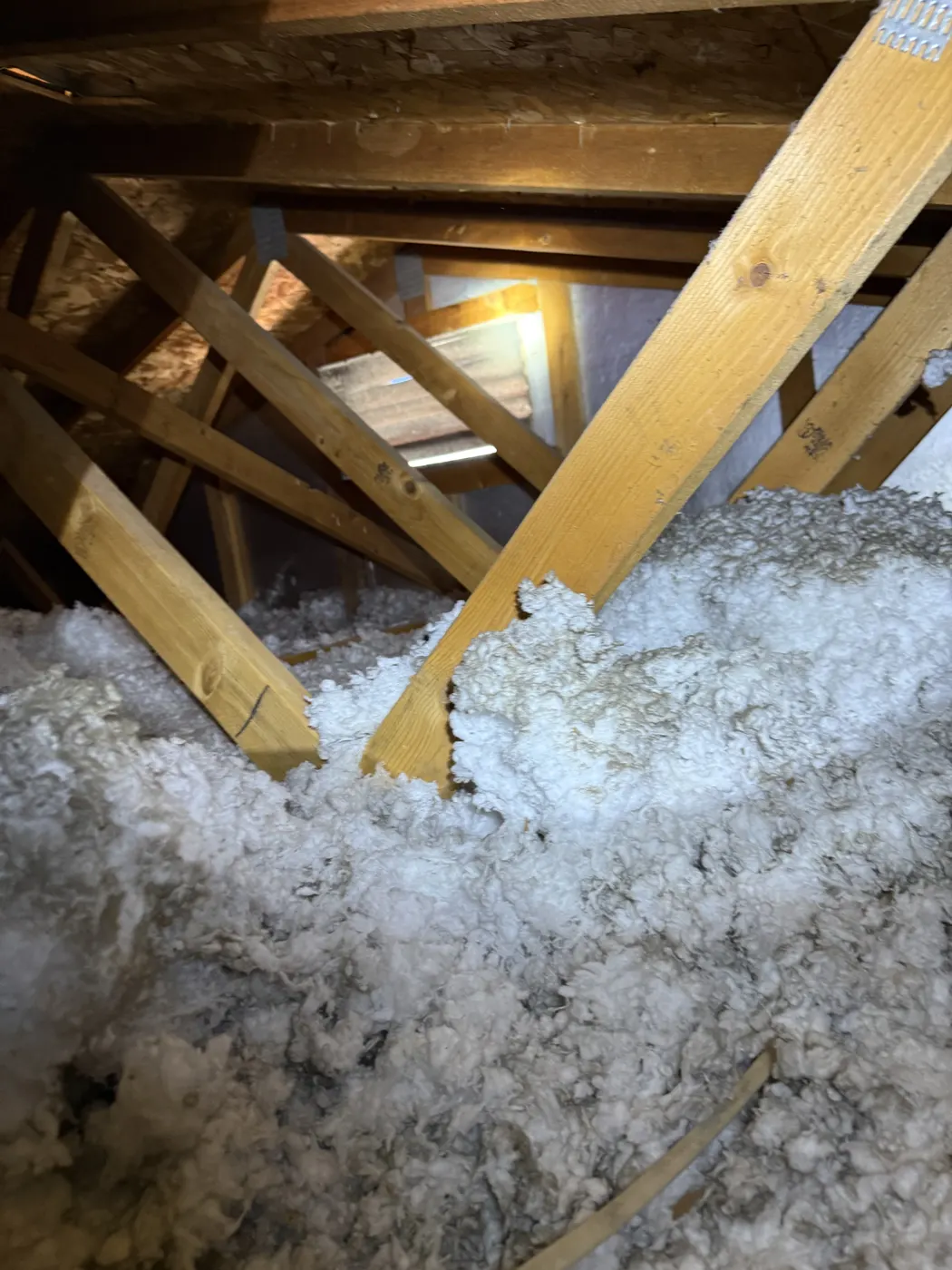 Attic Inspections, job photo 10 of 19