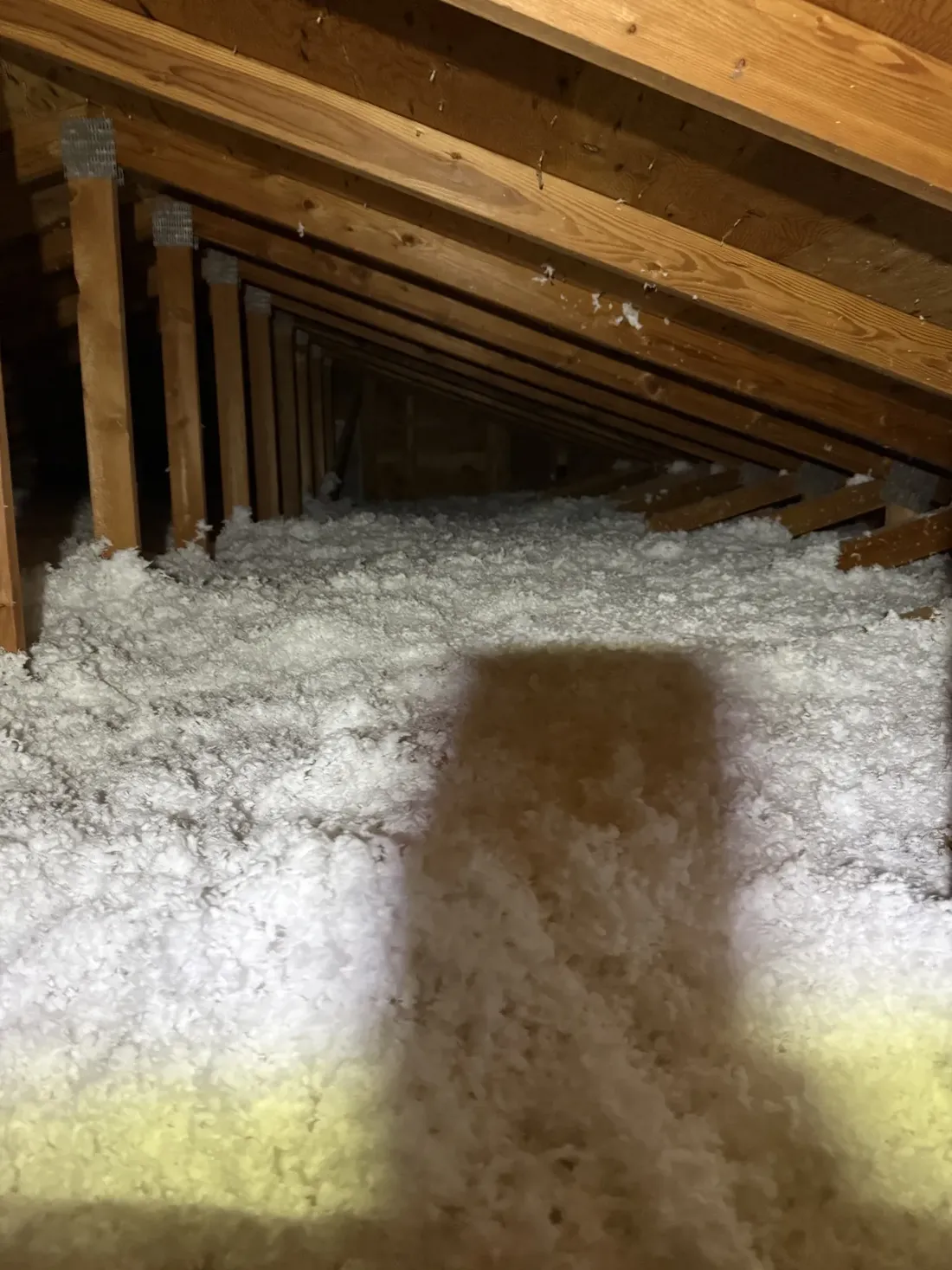 Attic Insulation, job photo 4 of 8