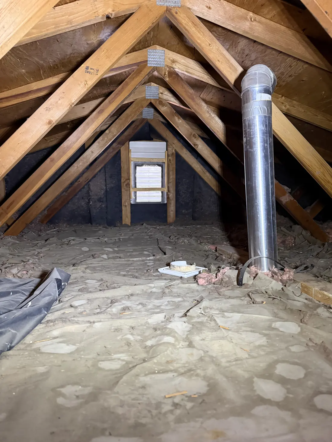 Attic Inspections, job photo 3 of 19