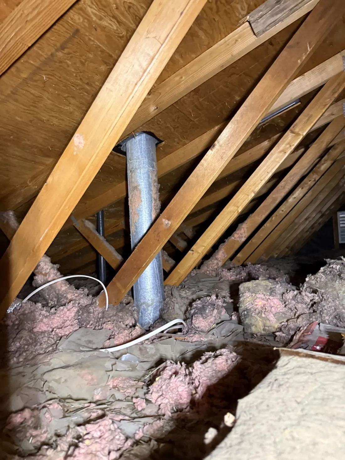 Attic Inspections, job photo 5 of 19