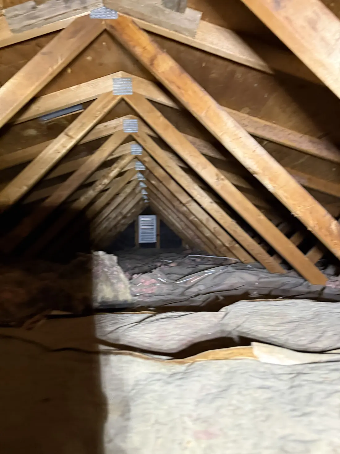 Attic Inspections, job photo 6 of 19