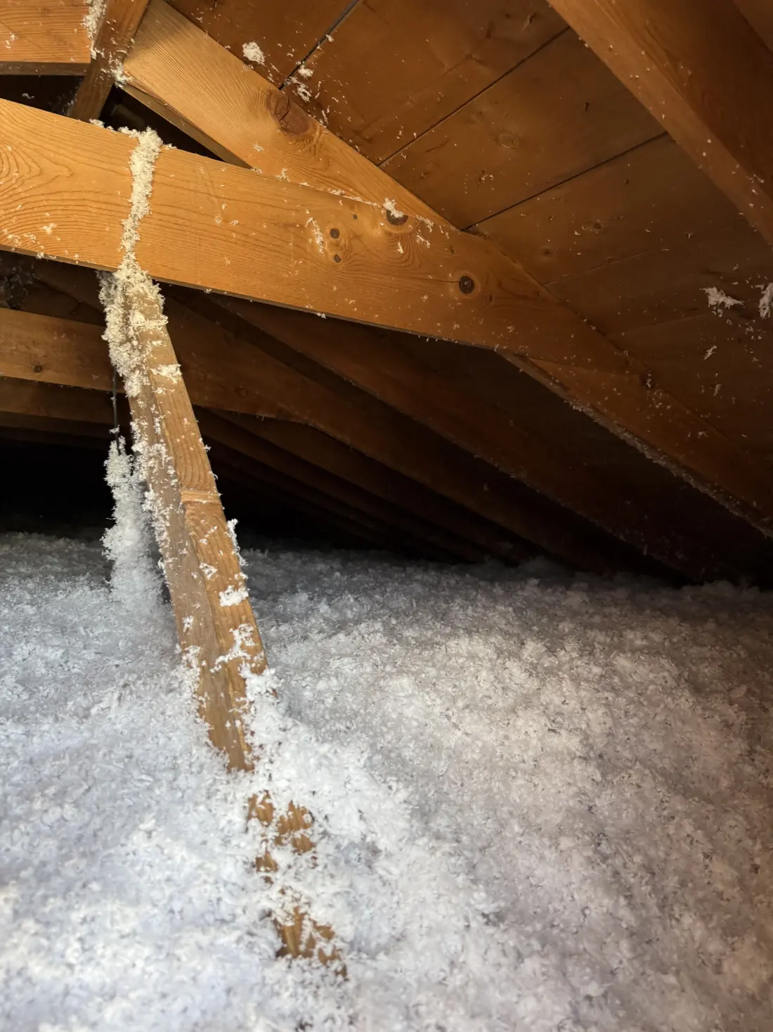 Blown Insulation, job photo 3 of 7
