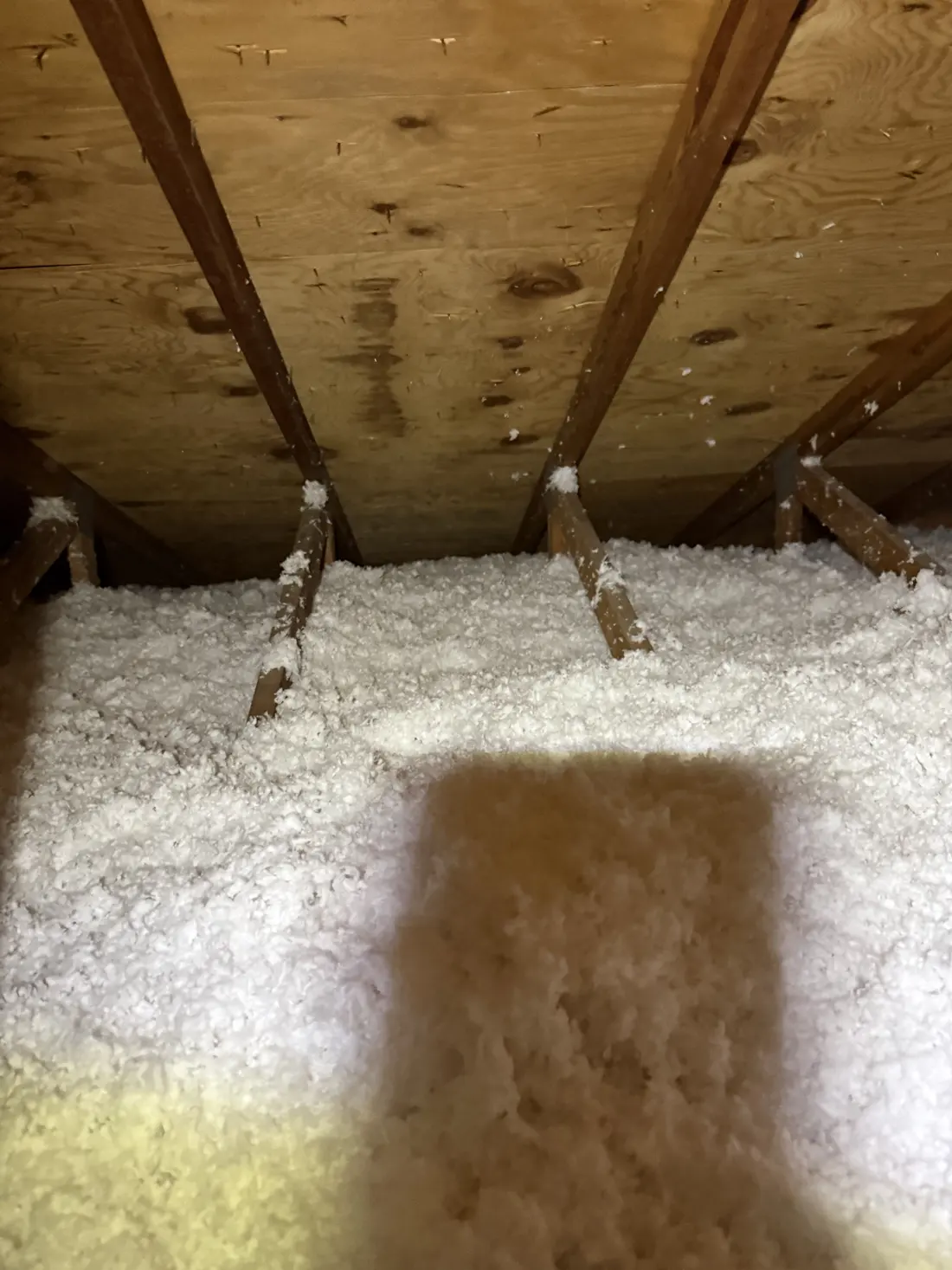 Attic Insulation, job photo 3 of 8